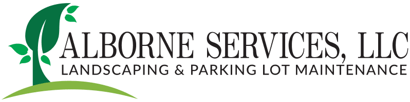 alborne-logo2x