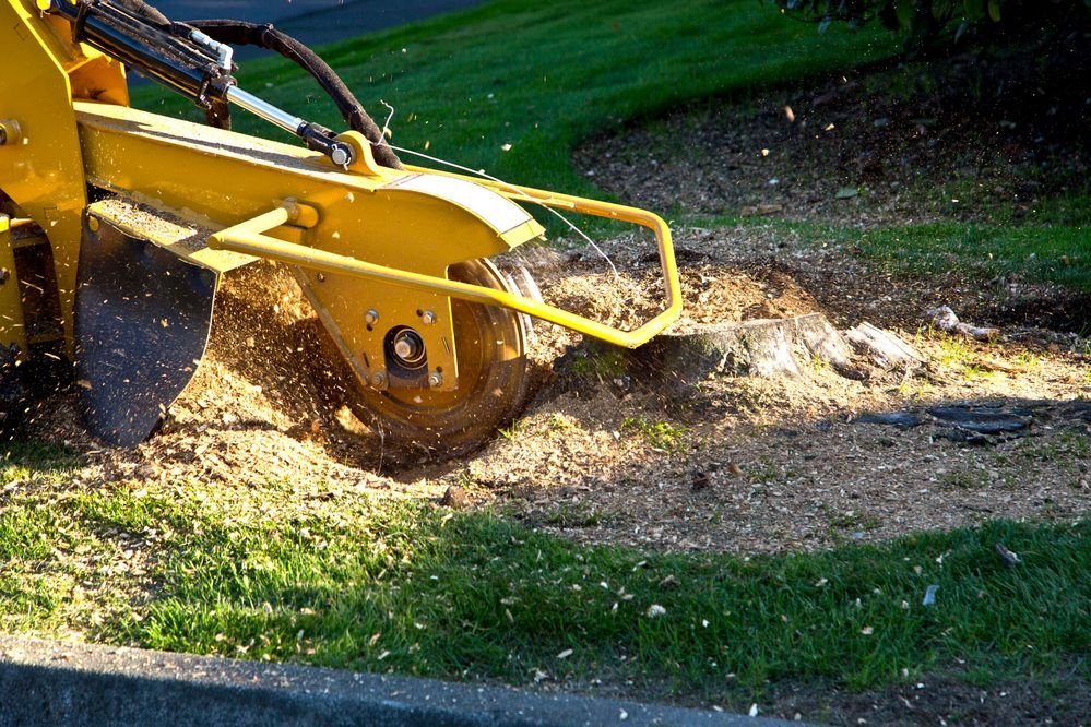 Stump grinding | Tree services in Champaign, IL